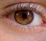 Summer’s Silent Threat: How to Protect Yourself from Pink Eye!