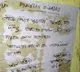 Para Commandos Family Threatened in West Bengal