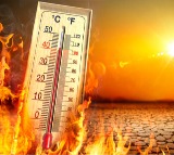 Summer Heat and Diabetes A Warning for Sugar Patients