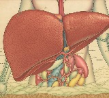 Fruits That Help Improve Fatty Liver: A Guide to Supporting Liver Health
