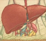 Fruits That Help Improve Fatty Liver: A Guide to Supporting Liver Health
