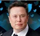 Elon Musk Compares DOGE to Buddhism