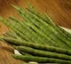 Shocking Benefits of 'Moringa' Drumsticks You Never Knew About