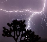 Heavy rains lash Andhra Pradesh, two killed by lightning