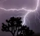 Heavy rains lash Andhra Pradesh, two killed by lightning