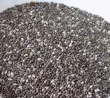 Chia Seeds vs Sabja Seeds: Which Superfood Suits Your Health Needs?