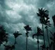 APSDMA issues red alert for five districts in Andhra Pradesh