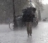 AP Unseasonal Rains Cause Havoc Two Dead
