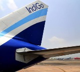 Passenger Arrested for Air Hostess Molestation on Indigo Flight