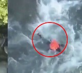 Imtiyaz Ahmad Magrays Death Video Clears Air on Kulgam Incident