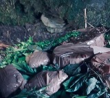 Terrorist hideout busted in JKs Poonch IEDs and wireless sets recovered
