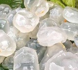 Ice Apple: A Nutritious and Hydrating Summer Fruit
