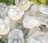 Ice Apple: A Nutritious and Hydrating Summer Fruit