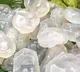 Ice Apple: A Nutritious and Hydrating Summer Fruit