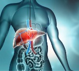 10 Foods to Boost Your Liver Health