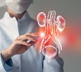 Common Habits That Damage Kidneys