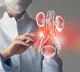 Common Habits That Damage Kidneys