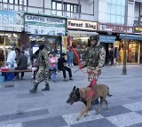 Forces Intensify Kashmir Crackdown After Pahalgham Attack