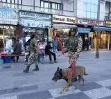 Forces Intensify Kashmir Crackdown After Pahalgham Attack