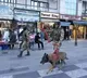 Forces Intensify Kashmir Crackdown After Pahalgham Attack