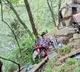 Anantapur MP’s Sister Among Victims in Uttarakhand Helicopter Crash