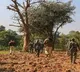 Three Police Officers Killed in Mulugu Landmine Blast