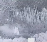 Seven Terrorists Killed in BSF Operation