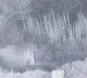 Seven Terrorists Killed in BSF Operation