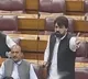 Pakistan MPs Criticize Sharif Amidst Indias Cross Border Attacks