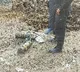 Multiple enemy-armed drones in Amritsar destroyed: Indian Army