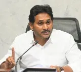 Jagans Rule Sees Doubled Liver Diseases Expert Panel Report