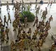 Andhra Pradesh exempts defence personnel from property tax