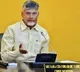 Andhra Pradesh mulls restoring 100 pc reservation to tribals in agency areas