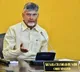 CM Chandrababu Reviews Horticulture Sector