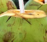 Coconut Water Benefits and Risks of Excessive Consumption
