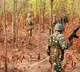 31 Maoists Killed in Massive Border Operation