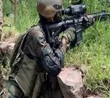 Pulwama Encounter One Terrorist Killed in Gunfight