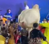 Bull Creates Havoc at Family Function Video Goes Viral