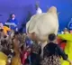 Bull Creates Havoc at Family Function Video Goes Viral