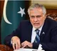 Pakistan Deputy Prime Minister Embarrassed After Believing a Fake News Story Was Real