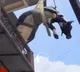 Cow Rescued from Third Floor in Pune Using Crane