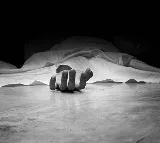 Bengaluru Techie Killed in Hit and Run