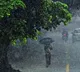 Southwest Monsoon to Hit Kerala in 10 Days Says IMD