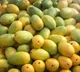 Crores Worth of Indian Mango Shipments Rejected in the US Due to Documentation Errors