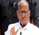 Sharad Pawar Criticizes Sanjay Raut on Central Govt Delegation Issue