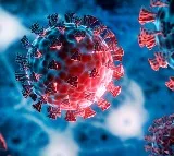 JN1 Variant India Sees Increase in Covid Cases