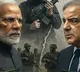 Pakistan Security Official on India Pakistan Troop Withdrawal