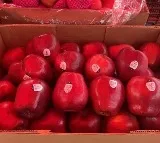 Harish Chauhan demands ban on Turkey apple imports