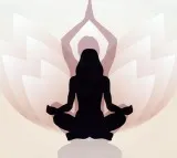 Press Release: Yoga — India’s Great Gift to the World says CM Chandrababu Naidu
