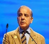 Shehbaz Sharif Ancestors Kashmiri Pandits Says British Author